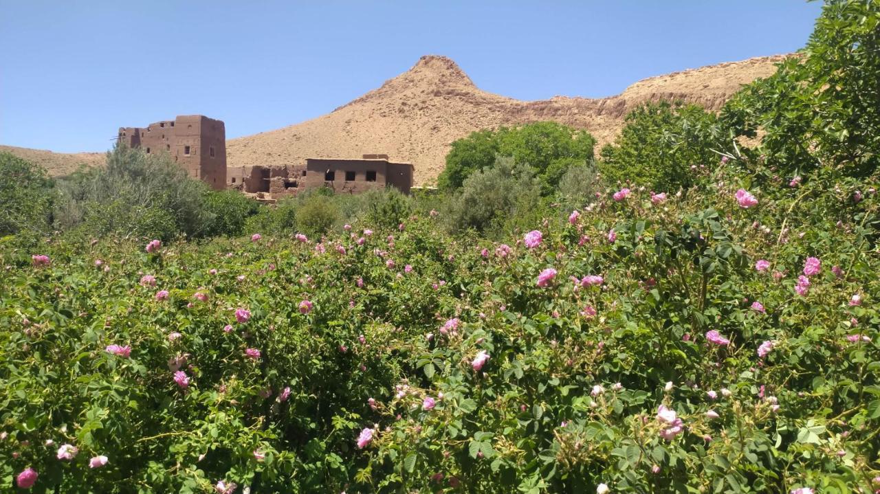 Kelaat-M'Gouna Les Jardins Du M'Goun B&B 외부 사진