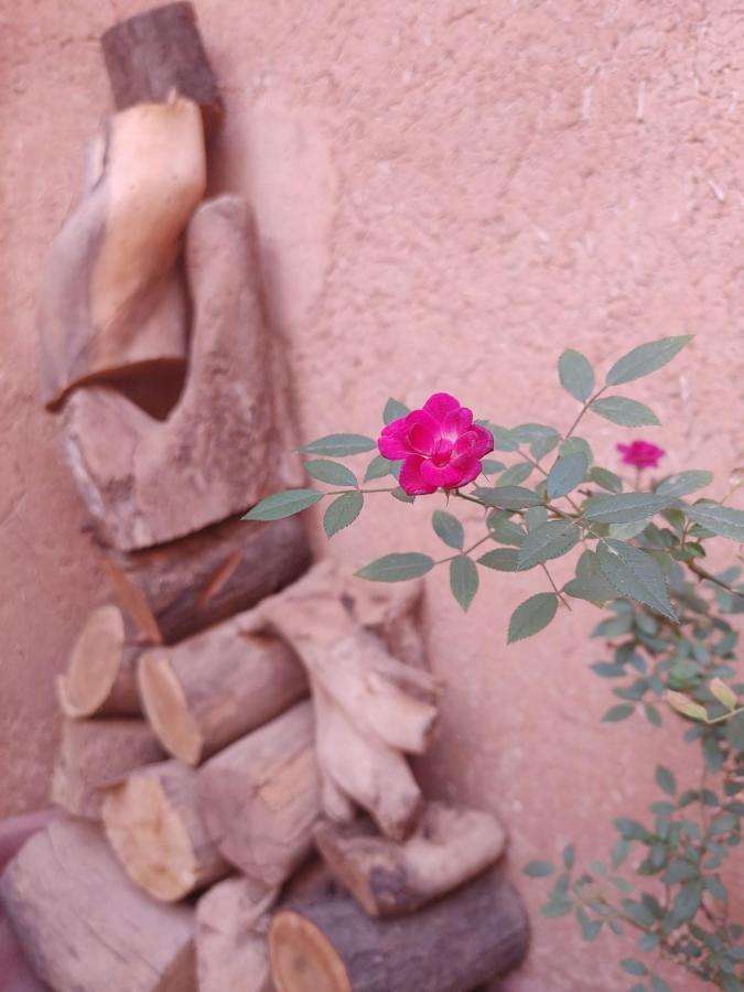 Kelaat-M'Gouna Les Jardins Du M'Goun B&B 외부 사진